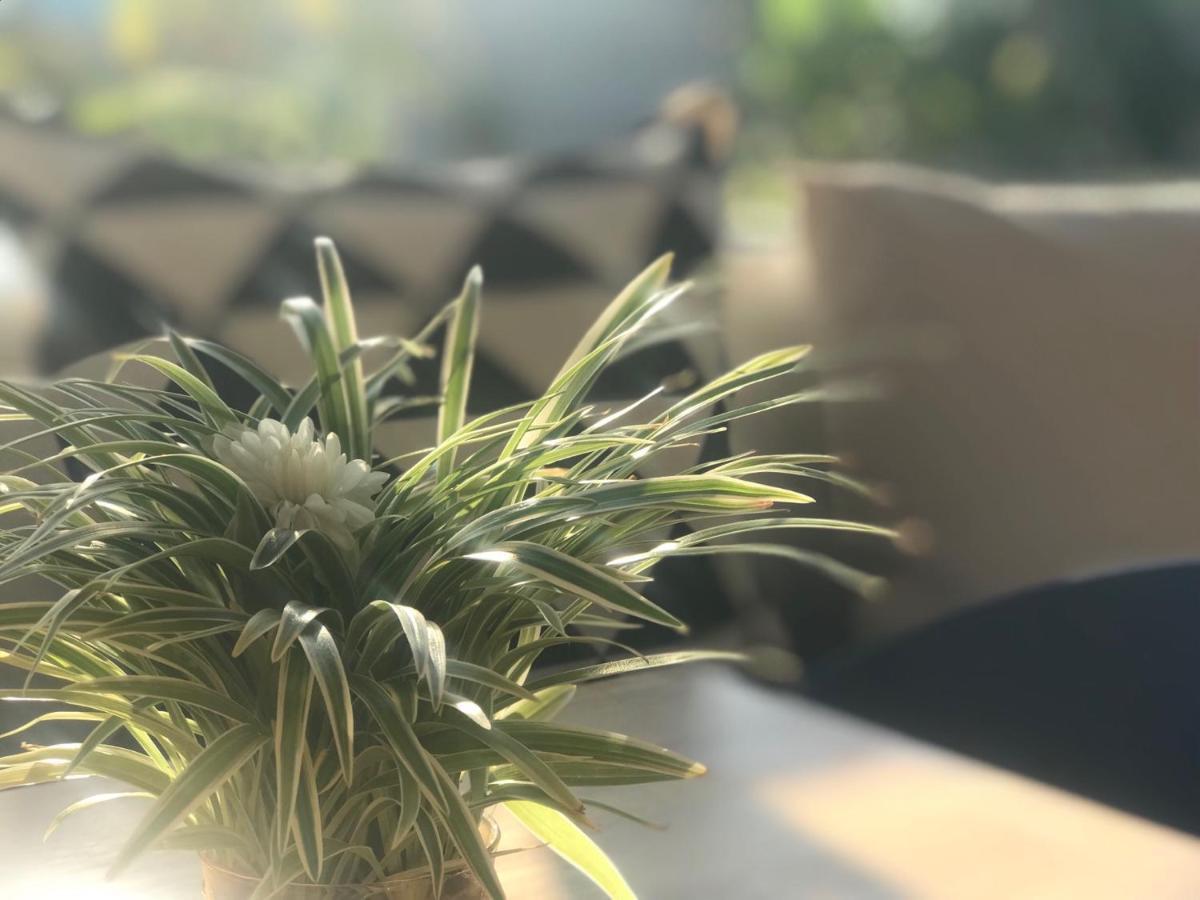 Aonang Eco Villa - Sha Extra Plus Ao Nang Exteriér fotografie